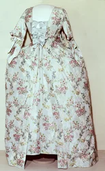 Kleid der Frau von Carl Linnaeus (1707-78)